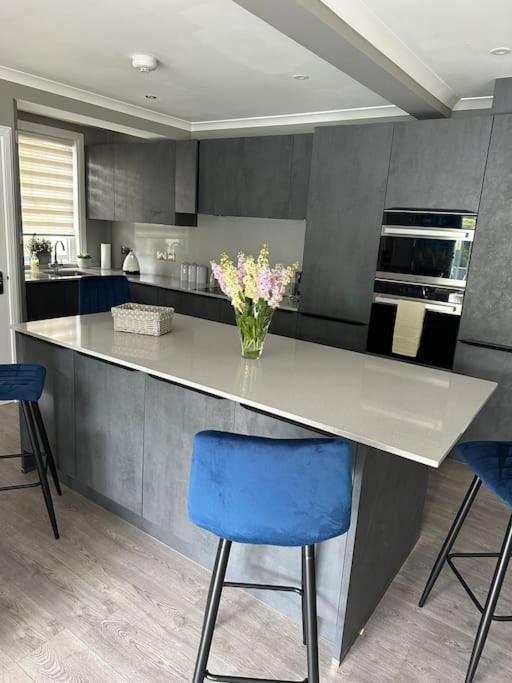 Cameron Coach House Modern Property In Murrayfield エディンバラ エクステリア 写真